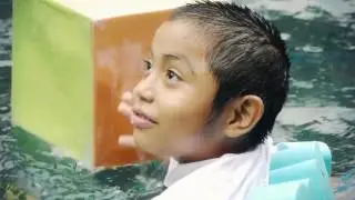 Dolphin Assisted Therapy, It works? l Delphinus