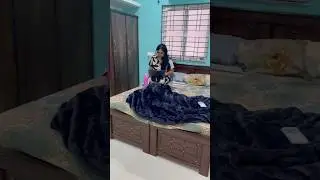 Techies Premium Elite Coliving, Kondapur | Hostel | Paying Guest |hyderabad | #coliving #trending