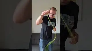 Can I do Yoyo DNA WITHOUT a Fingerspin? #yoyo #yoyoing #yoyotricks #gr33nrobot #trick #shorts #new