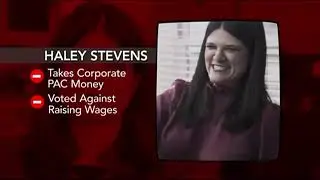 Andy Levin campaign ad: Haley Stevens is 'the wrong kind of Democrat'