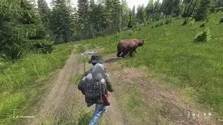 DayZ Livonia Official | Bear attack in the Woods near Sarnowek 