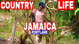 LIFE IN PORTLAND JAMAICA - PART 1