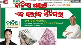 kalia yojana installment check | kalia yojana paisa kemiti dekhiba