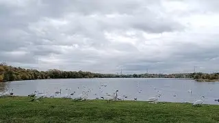 Drumpellier Country Park, North Lanarkshire - Scotland - October 2022