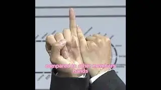 Jimin&rsquo;s hands are tiny 🖐🏻💜🥺