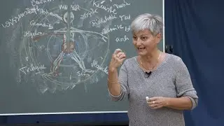Bio-Grafie: Menschwerden ist eine Kunst (Prof. Andrea Heidekorn)