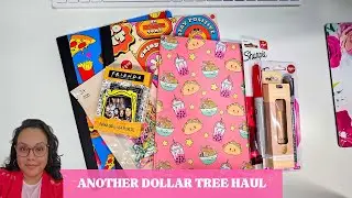 Dollar Tree Haul | Yes, I went again