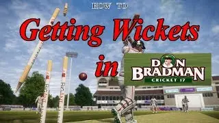 Getting Wickets in DBC 17