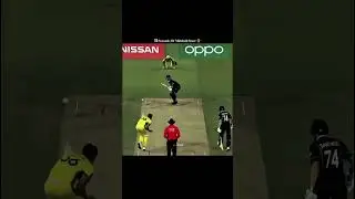 Mitchell Starc The Best left arm fast bowler in cricket history 🥶🎶 #cricket #mitchellstarc #wickets