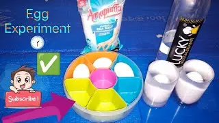 Egg Experiment With Salt ✅#egg #experiements #eggexperiment #mrindianbhagirath 