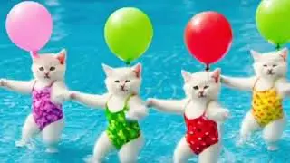 5 little moneys jumping on the bed nursery rhymes|Dudi Dudi Dam Dam Dance| Kids Rhymes #dudidudi