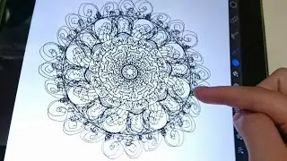 [Gin Doodle] Funny iPad app zentangle drawing - my brushes Pro