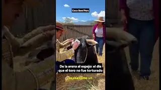 De la arena al espejo  el d&iacute;a que el toro no fue torturado