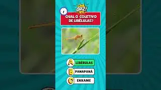 🟩VOC&Ecirc; &Eacute; BOM MESMO EM PORTUGU&Ecirc;S ?Teste com coletivos! COLETIVOS DE ANIMAIS !Quantas voc&ecirc;  acerta?