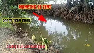 MANCING IKAN NILA DI AIR ASIN‼️‼️ bonus ikan enak dan gurih