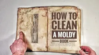 How to clean a moldy book