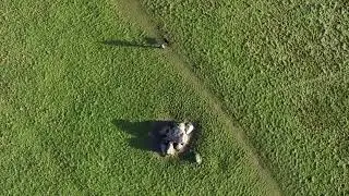Giant's ring, Northern Ireland