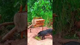 Build Unique Wild boar Trapping Using Big Wood Fall in to Deep Hole  #animaltrap #animals #pigtrap