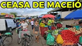 CONSULTA DE PREÇOS NO CEASA DE MACEIÓ - AL