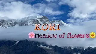 || KORI TREK IN THE MONSOON {3850m}, KASKI || MEADOW of FLOWERS,I || #koritrek #mountains