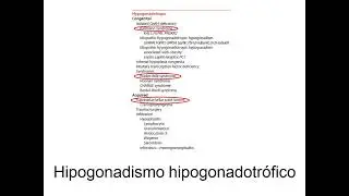 Retraso puberal