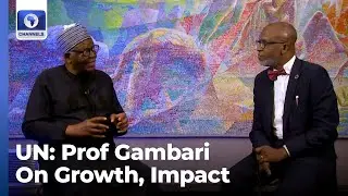 Prof Gambari Reminisces On Days As UN Under-Secretary, Ambassadorial Roles