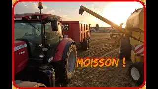 SOINS aux animaux, MOISSON des bl&eacute;s, Cl&ocirc;tures des boucs, une semaine avec moi dans ma ferme VLOG