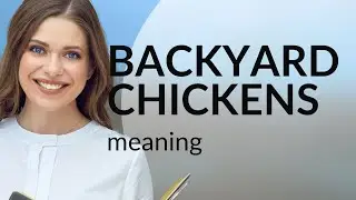 Backyard Chickens: Feathered Friends at Home