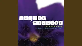 Purple Violets Theme