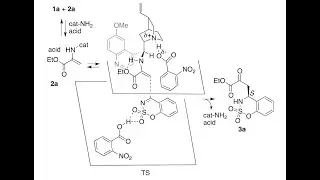 Mimicking enzymes; making organic molecules in an eco-friendly way? #organocatalysis #pyruvates