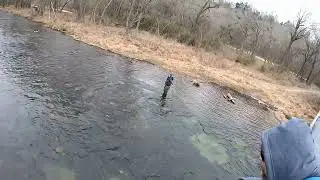 Trying to sight fly fish at Beavers Bend State Park.