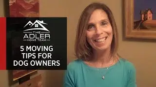 Northern New Jersey Real Estate: 5 Tips for Moving With Pets