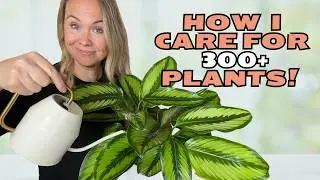 FORGET Plant Care Routines: What Your Plants Really Need!