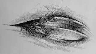 Mango Seed Drawing Easy