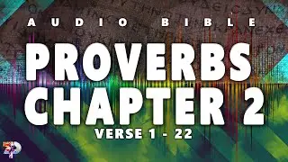 PROVERBS CHAPTER 2 VERSE 1 to 22 (NLT) | AUDIO BIBLE, RELAXATION, CALMING,ACOUSTIC AND INSTRUMENTAL