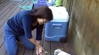 Foodie McBody's Amazing Animal Stunts! (uncut)