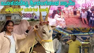 ಬೂಕನಬೆಟ್ಟ ಶ್ರೀರಂಗನಾಥ ಸ್ವಾಮಿ ಜೈ ಹಳ್ಳಿಕಾರ್ 🐂 ದನಗಳ ಜಾತ್ರೆ 2026 || SHWETHA STORIES