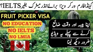 Canada Farm Worker / Fruit Picker Visa for Under Matric without IELTS?