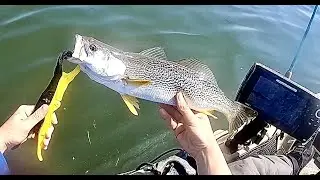 Kayak Fishing Fire Island NY: Fluke and Weakfish!!