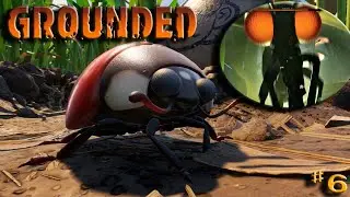 ENTRE LOS LADYBUG 🐞 Y LOS FIREFLY NO AGUANTO MAS #6