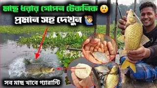 Village Fishing Vlog Using Hook || Peaceful Traditional Fishing || Relaxing Village Hook Fishing