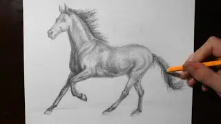 How to Draw a Horse Like a Pro | Sketch Art / Pencil Shading Drawing