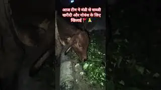 #newsong #subscribe #cow #youtubeshorts #viralvideo #tranding #explore #facebook #singer #instagram