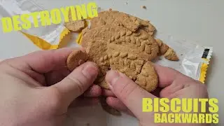Oddly Satisfying Destruction: BELVITA HONEY, NUT AND CHOCOLATE BISCUIT [In Reverse] #492