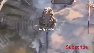 How sound waves circles created by frog sound in water