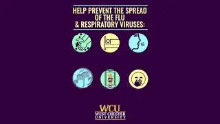 Help Prevent the Spread of the Flu & Respiratory Viruses
