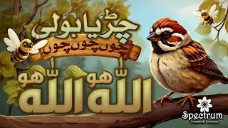 Ik chirya boli chu chu chu Allah Hoo Allah Hoo | New Islamic Poem