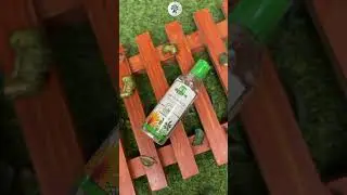 Dr. Willmar Schwabe India B&T Hair Growth Oil || Homeonherbs