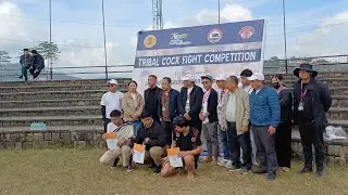 Hornbill Festival 2025 | Traditional Cock Fight Competition | Tribal Games of Nagaland