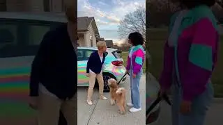 She FELL on Purpose &mdash; But The Dog's Reaction Is HILARIOUS! 😂🐶#viral #funny #dog #camera #trending
